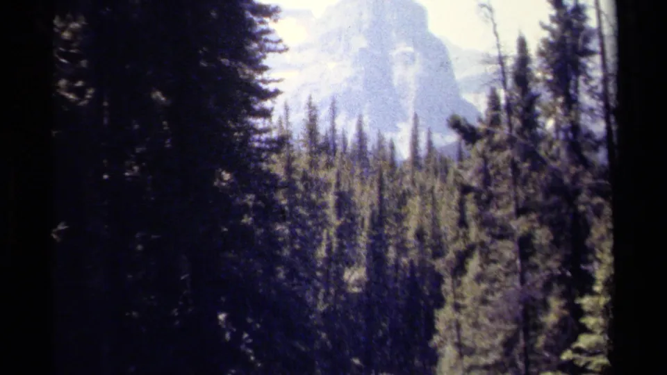 1979 British Columbia 8mm frame showing dark conifers, a sunlit forest slope, and a large pale mountain peak in the distance.