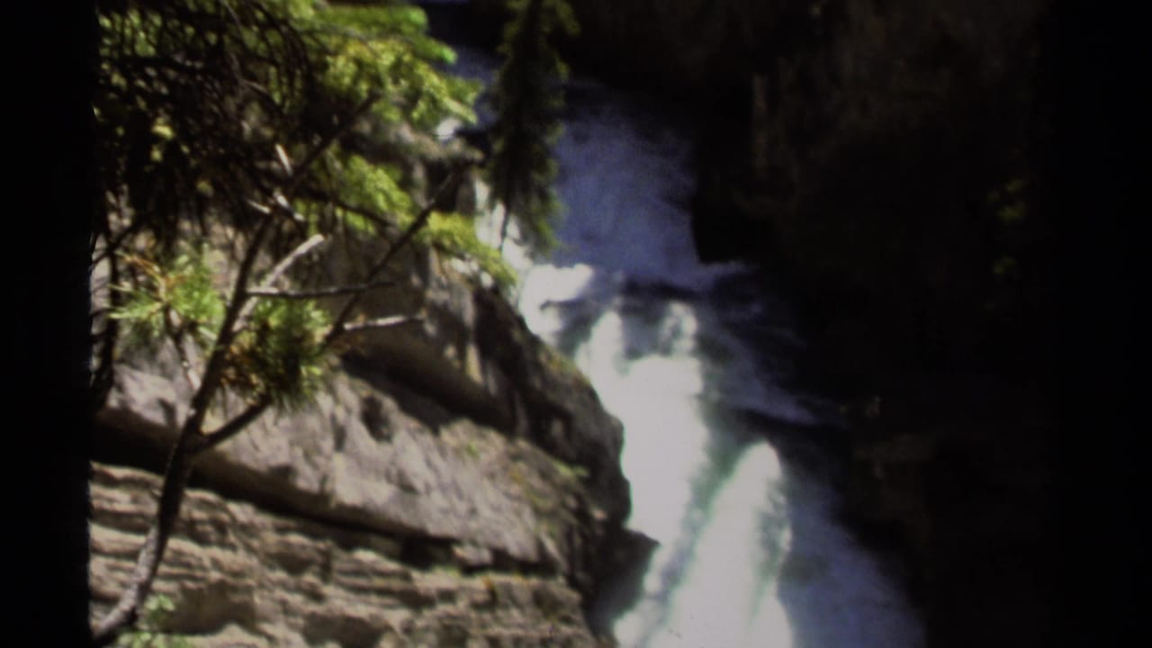White waterfall drops through a narrow rocky gorge with evergreen branches in the foreground.
