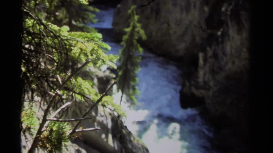 1979 8mm frame of foaming water in a deep British Columbia mountain gorge, viewed past evergreen branches and dark stone walls.