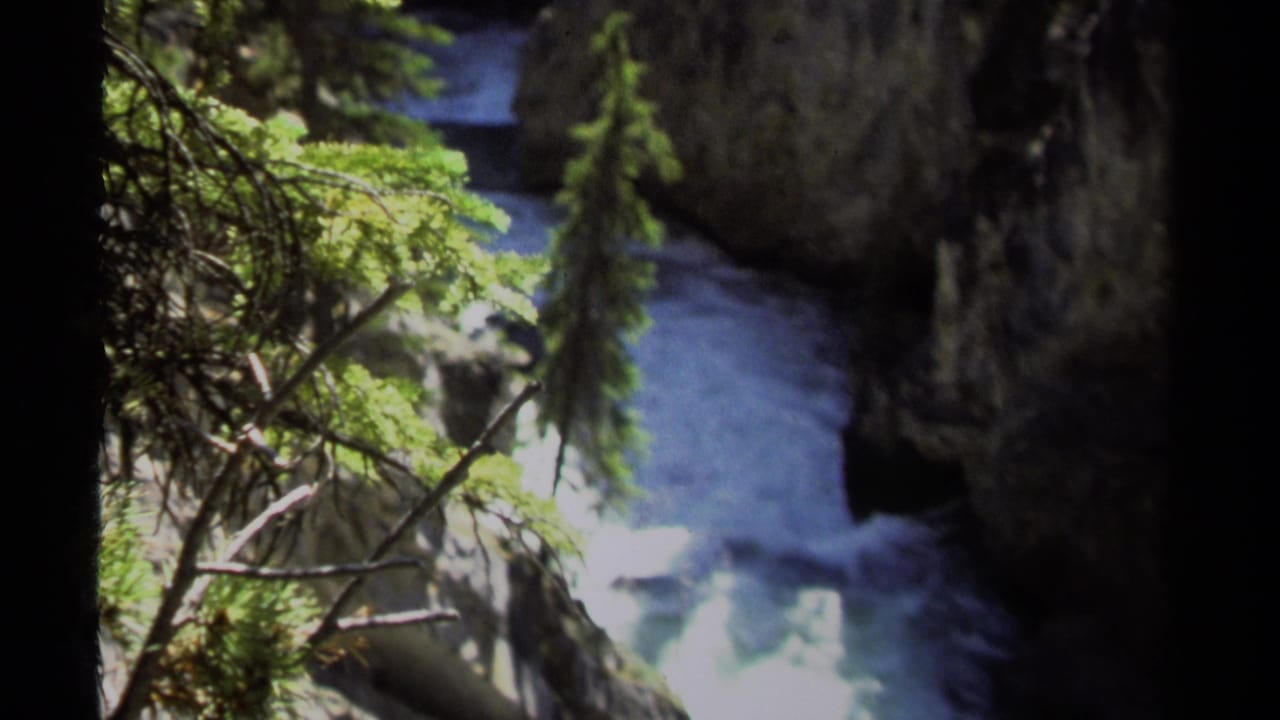 1979 British Columbia 8mm frame showing turbulent water running through a shaded mountain valley with evergreen branches in the foreground.