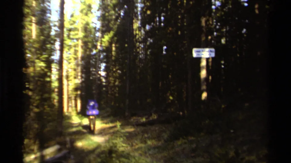 Wide 1979 British Columbia 8mm view of a forested trail area with a white sign, a smaller blue sign, tree trunks, and sunlit ground.