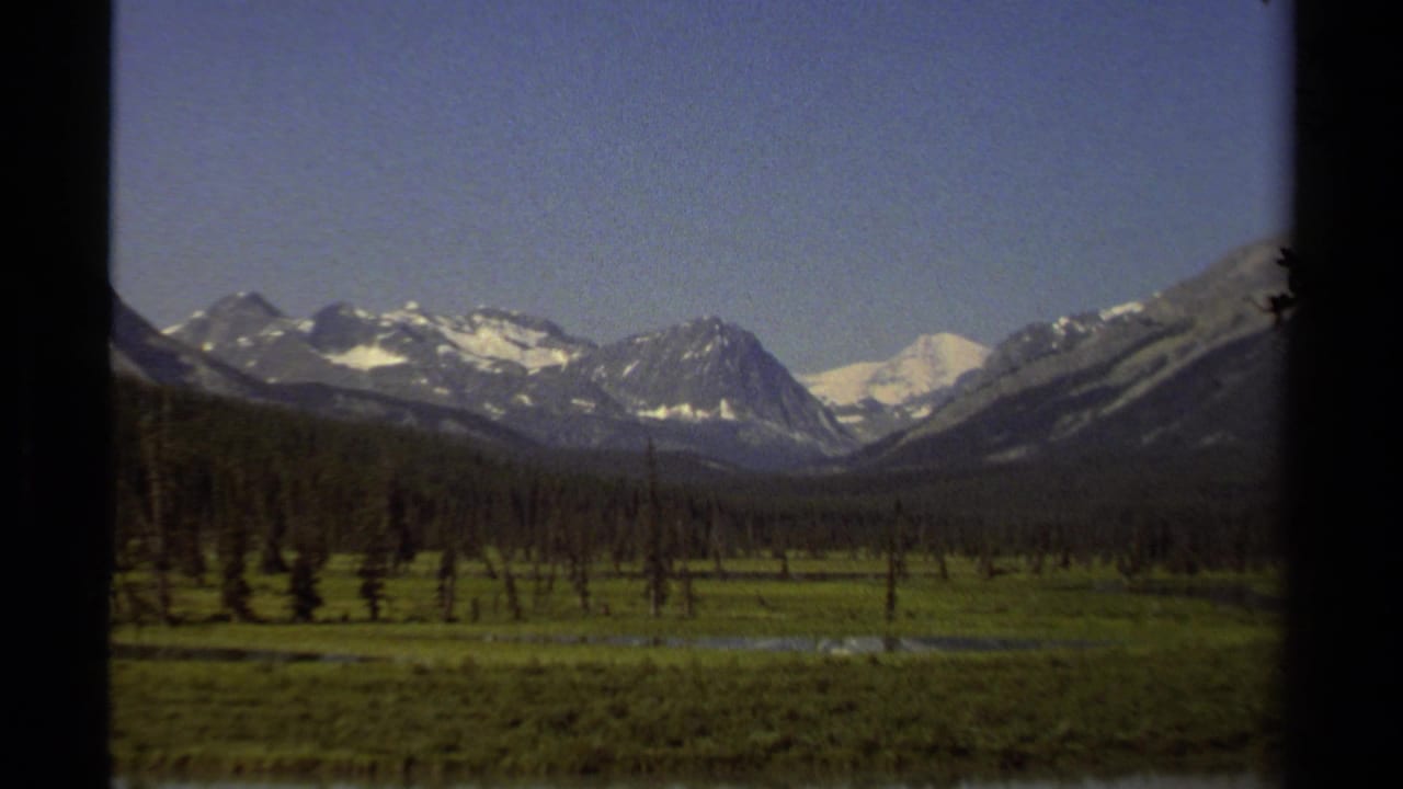 Wide mountain valley with scattered evergreens, meadow, and snow-covered peaks under blue sky.