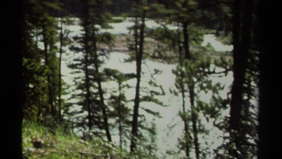 Forested 1979 8mm view in British Columbia looking through pine trunks toward bright sunlit water and pale snow or glare patches.