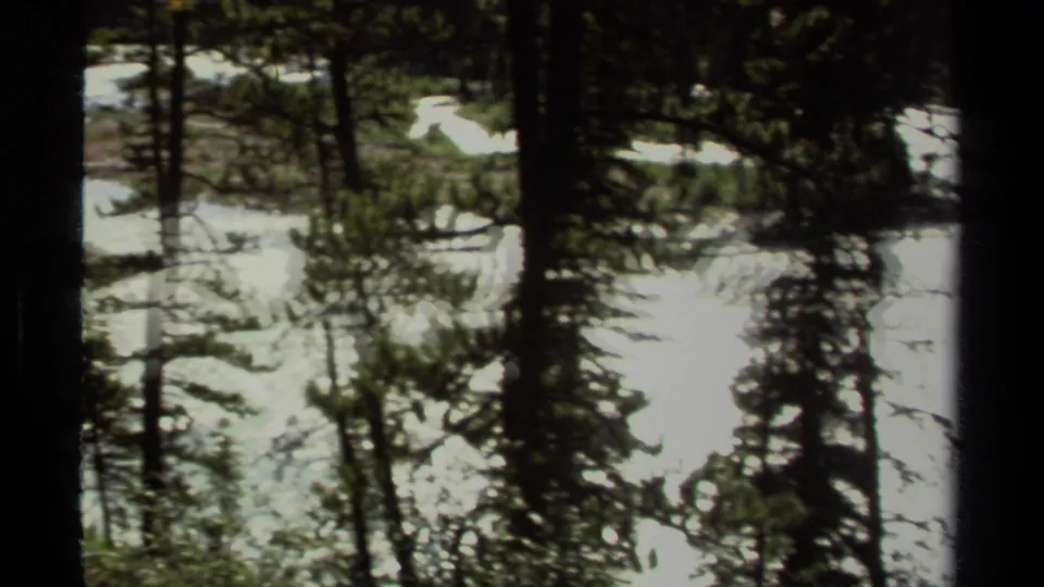 1979 British Columbia forest view through dark pines toward a bright lake or river surface, with strong sun and 8mm softness.