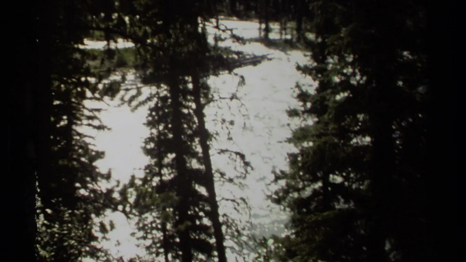 Bright stream reflections appear through dense evergreen forest in this 1979 British Columbia home-movie frame.