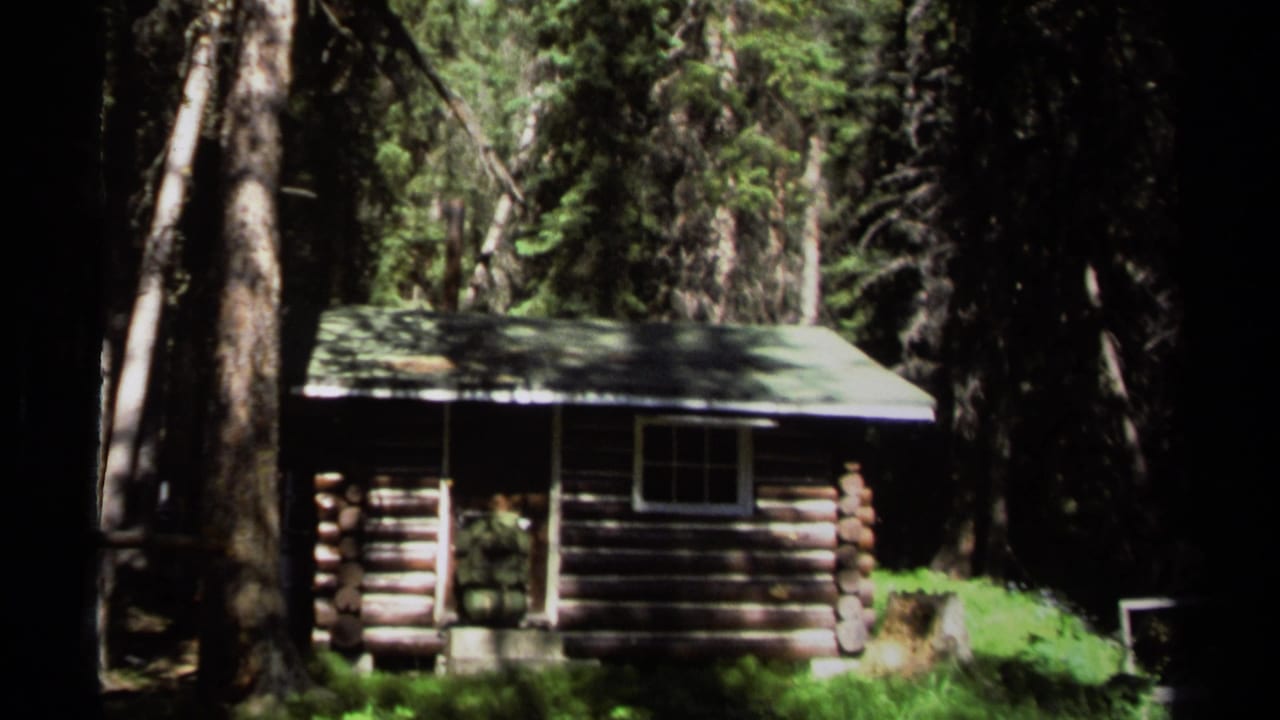 Small log cabin among tall trees with sunlight on the roof and wall.