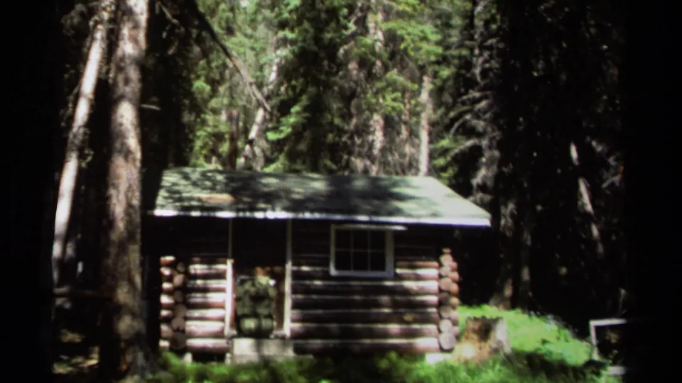 The camera lingers on the forest cabin exterior, with large tree trunks and deep shade around the small log structure.