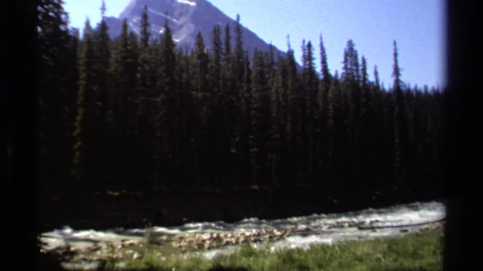 A swift river runs past dark evergreens toward a distant snow-capped mountain in the British Columbia landscape.