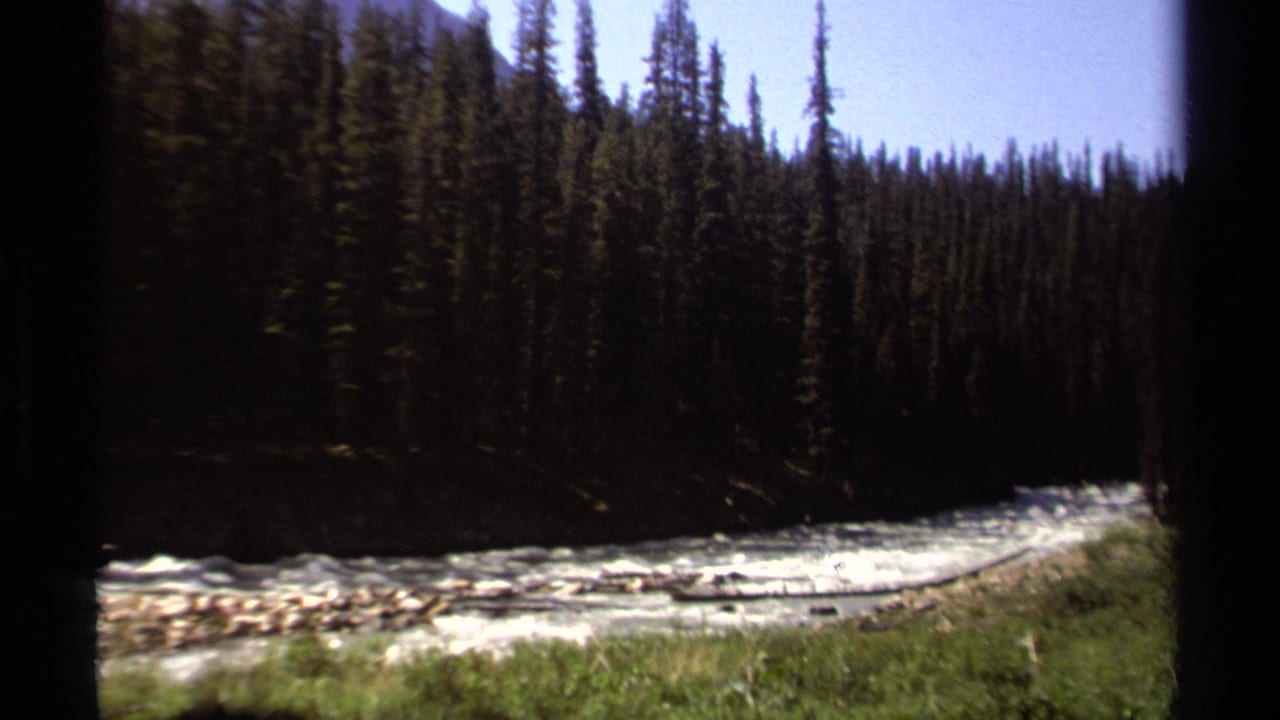 Rushing river curves past a rocky bank and dense evergreen forest.