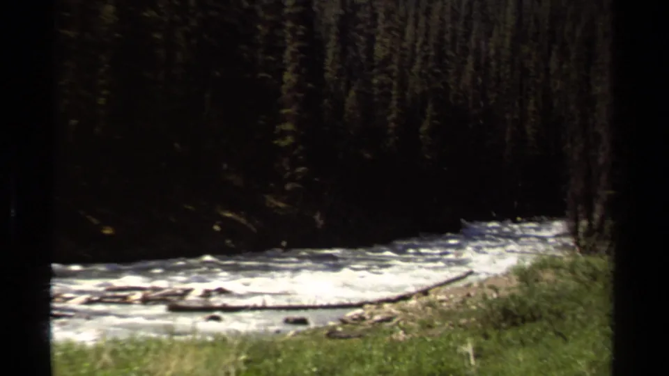 1979 British Columbia 8mm frame showing turbulent river water below dense conifers and green riverbank grass.