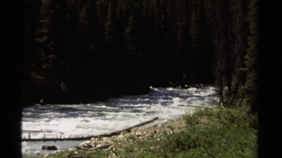1979 British Columbia home-movie frame of foaming river water bordered by rocks, fallen wood, and evergreen forest.