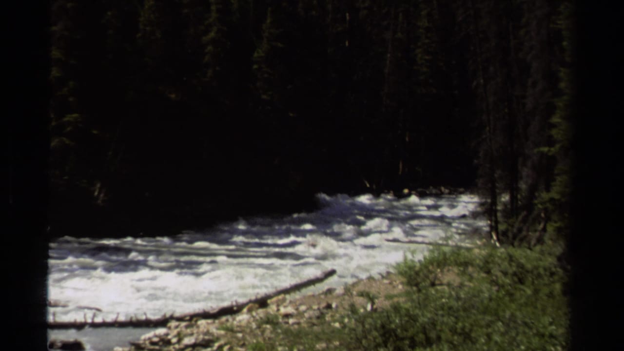 1979 8mm British Columbia footage of a choppy river flowing past dense evergreens and a sunlit grassy bank.