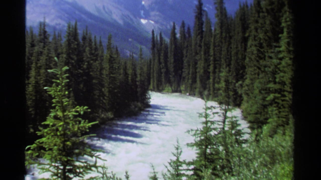 Pale river valley curving through evergreen trees below distant mountains.