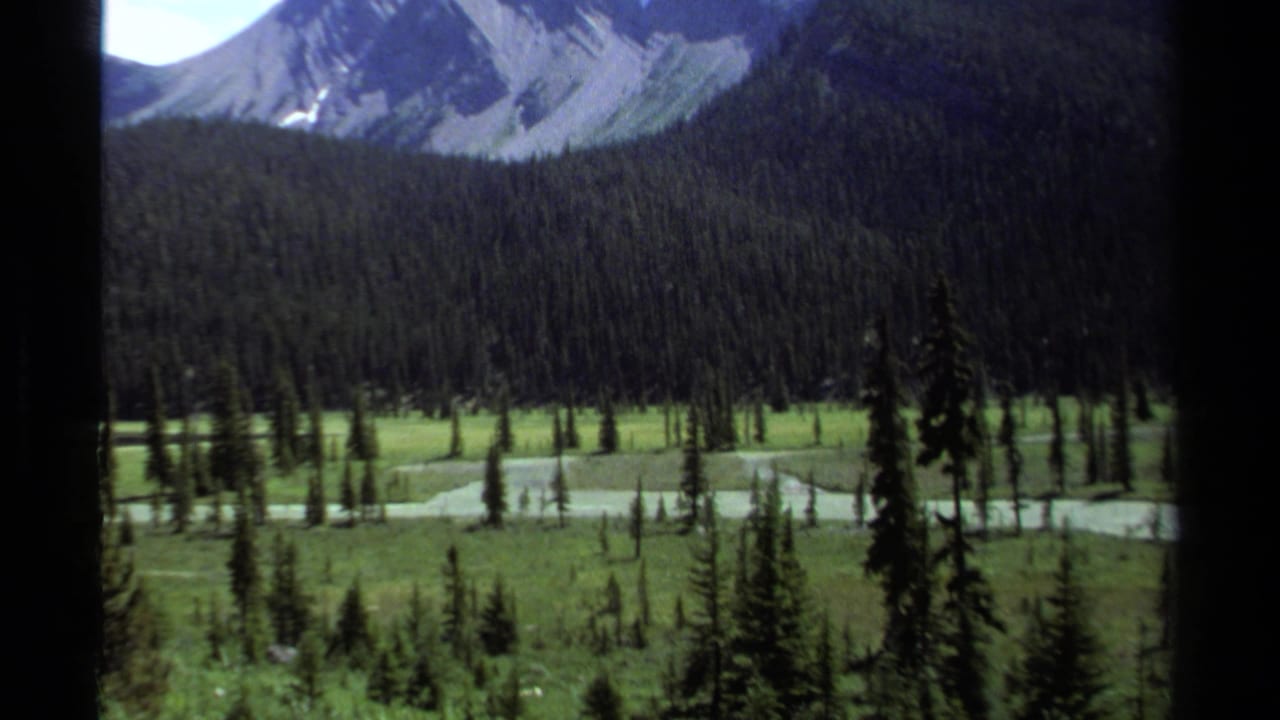 1979 British Columbia 8mm view of a green evergreen valley, winding water channels, and steep mountain slopes in the distance.