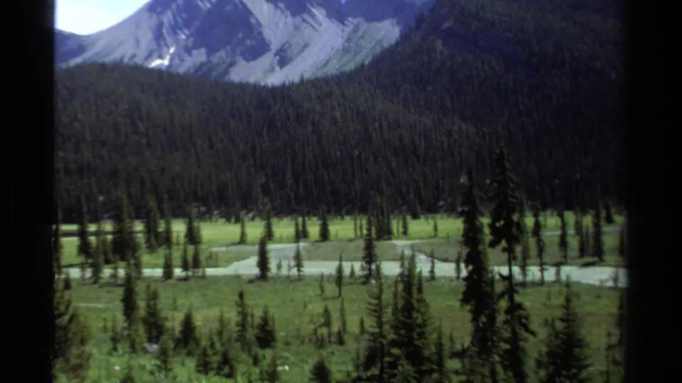 1979 British Columbia 8mm view of a green evergreen valley, winding water channels, and steep mountain slopes in the distance.