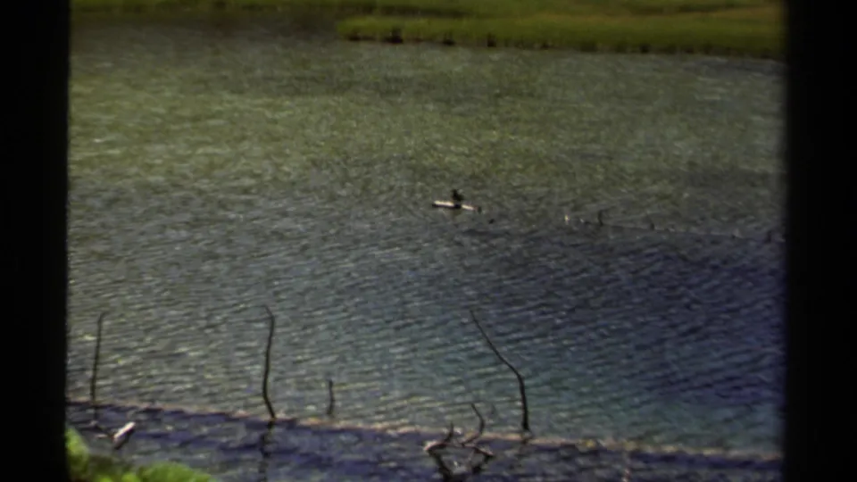1979 British Columbia 8mm frame showing rippling river water, shoreline reeds, and a small bird distant on the surface.