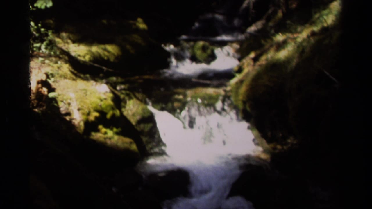 A shaded British Columbia forest stream flows over mossy rocks in soft, high-contrast 8mm footage.
