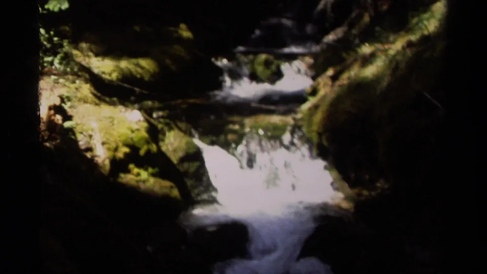 A shaded British Columbia forest stream flows over mossy rocks in soft, high-contrast 8mm footage.