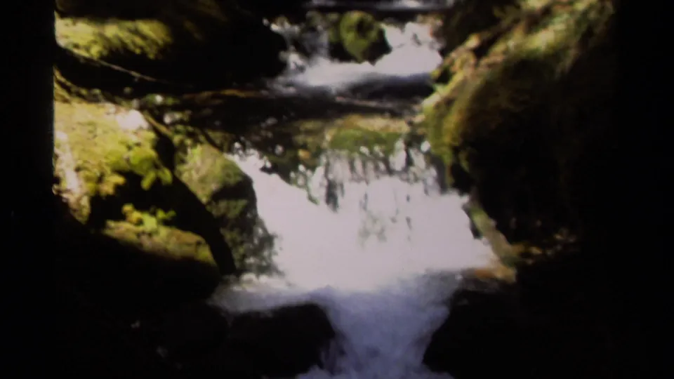 A small creek cascade runs through moss-covered rocks, with strong contrast and soft 8mm color from British Columbia footage.