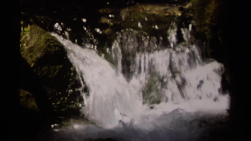 Close 8mm view of water pouring over dark rocks in a British Columbia forest creek, with bright foam and soft detail.