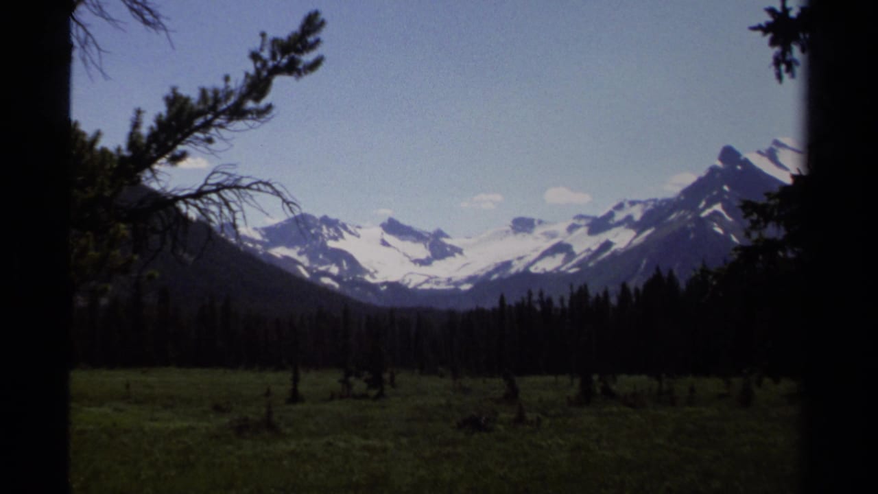 Snow-capped mountains beyond a dark conifer meadow under blue sky.