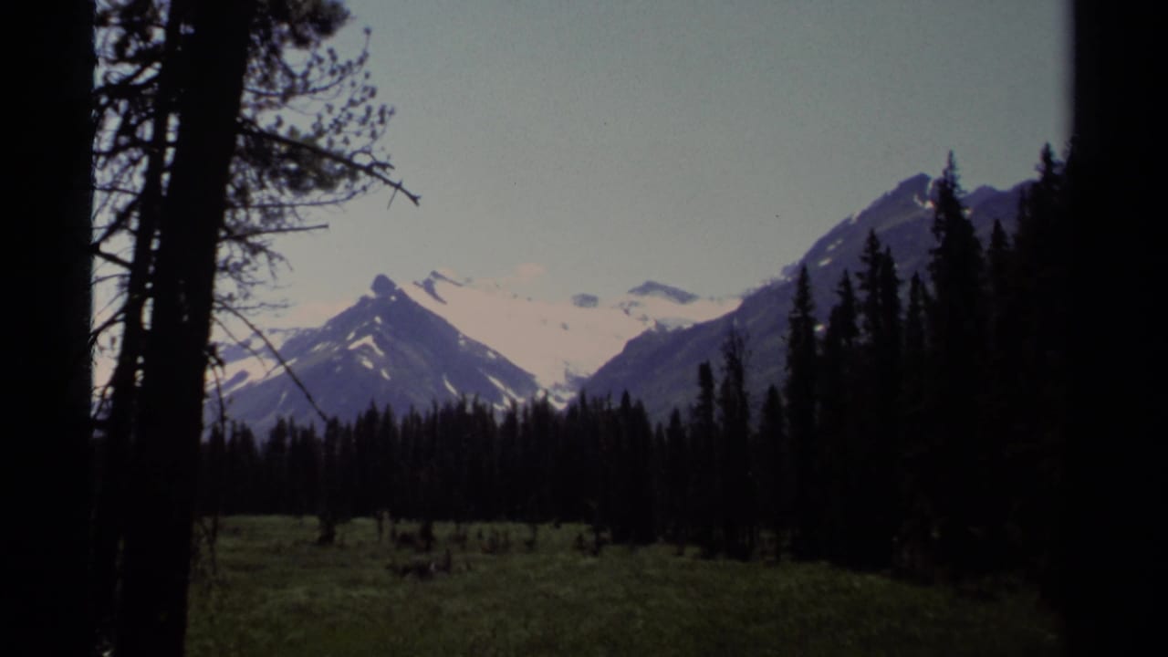1979 8mm British Columbia view through dark conifers toward a green meadow and snow-capped mountain peaks.