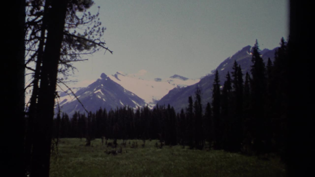British Columbia mountain landscape on 8mm film, seen through conifers with meadow, forest line, and snow-covered peaks.