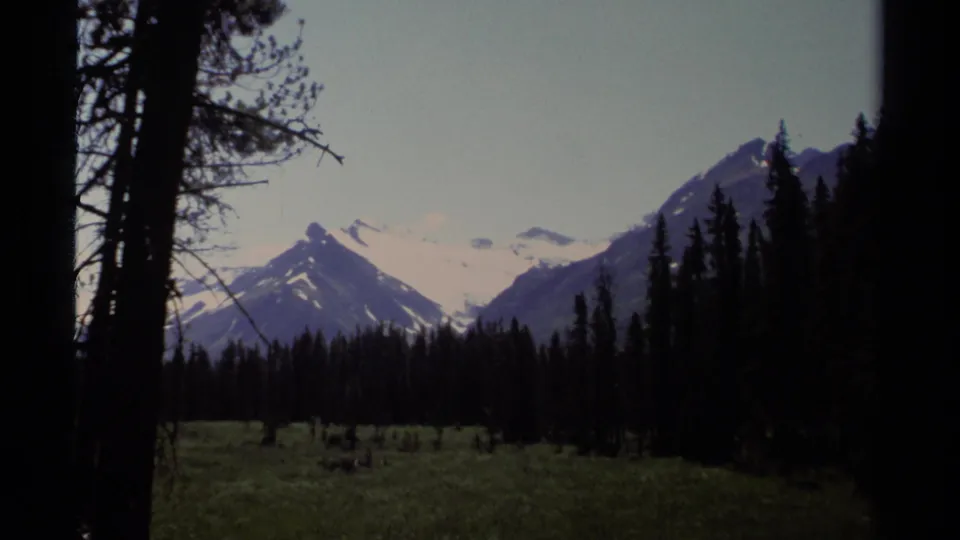 British Columbia mountain landscape on 8mm film, seen through conifers with meadow, forest line, and snow-covered peaks.