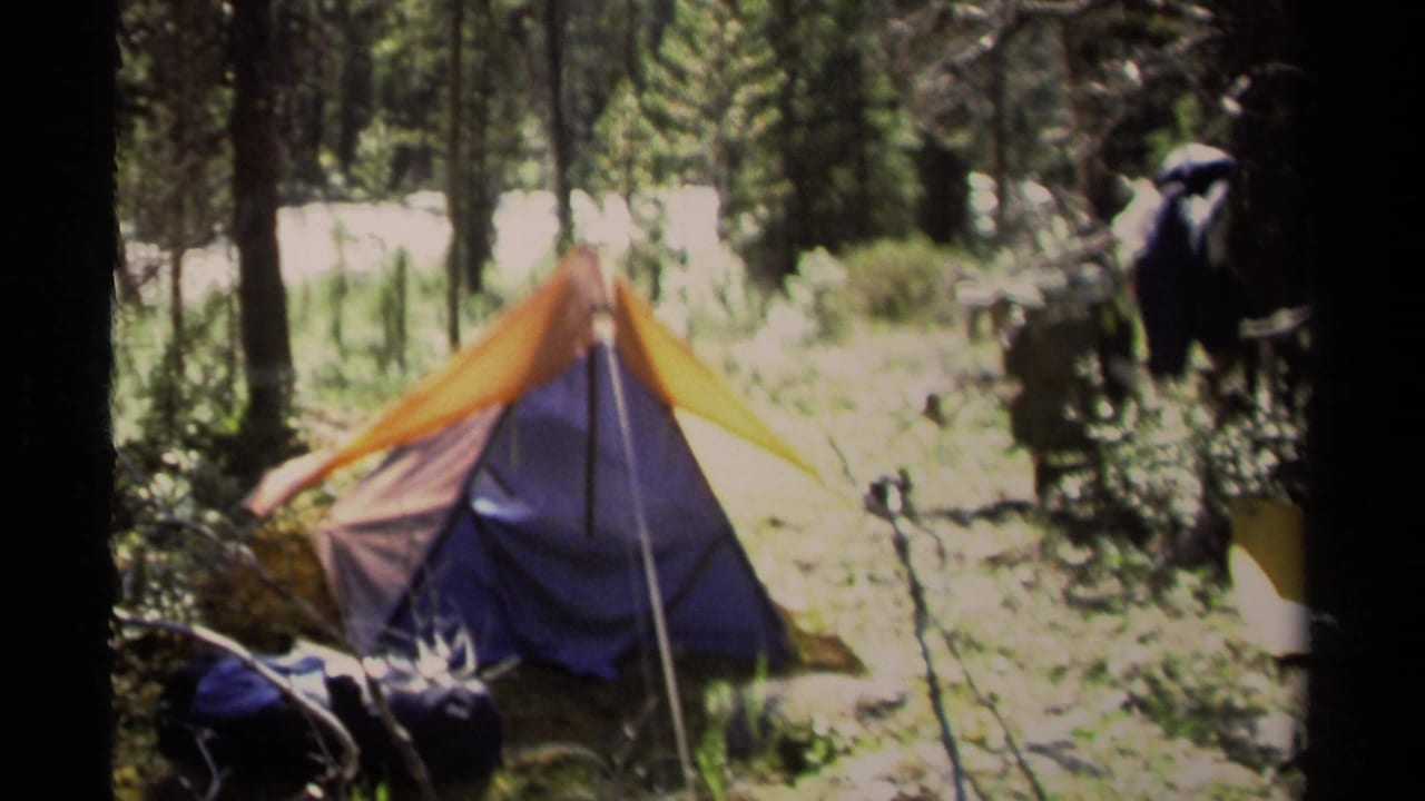 Orange and purple tent in a sunny forest clearing with camping gear nearby.
