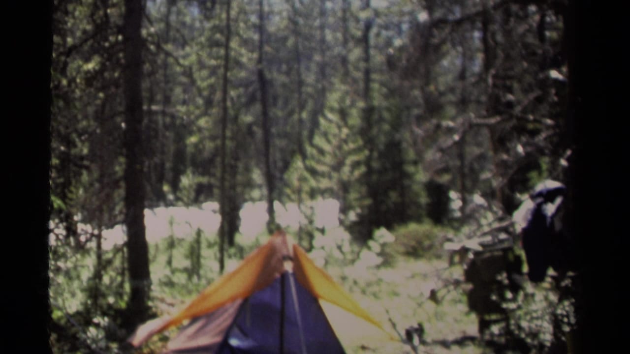 Tent partly framed by trees in a forest campsite, with a dark figure or gear at right.