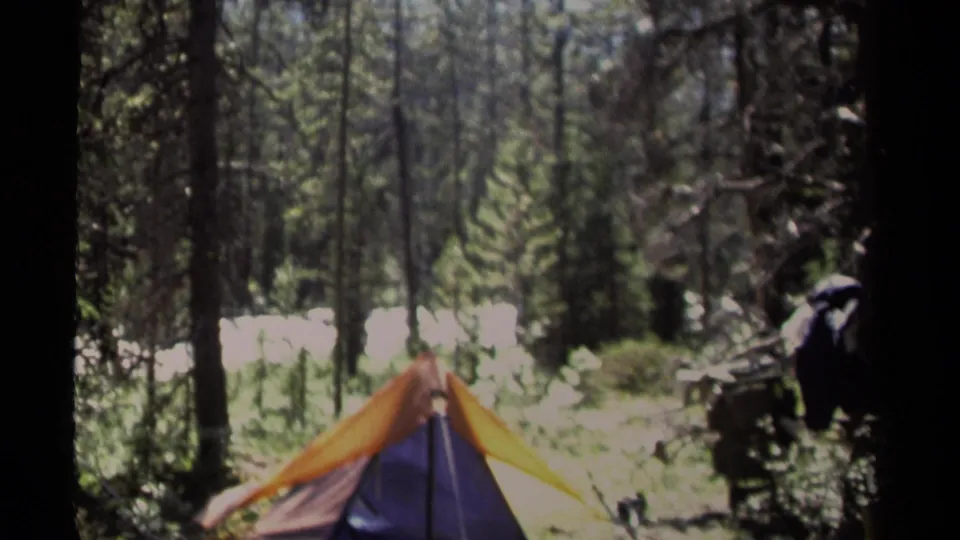 1979 British Columbia campsite view with the tent partly obscured by trees and an indistinct person or gear at the right edge.