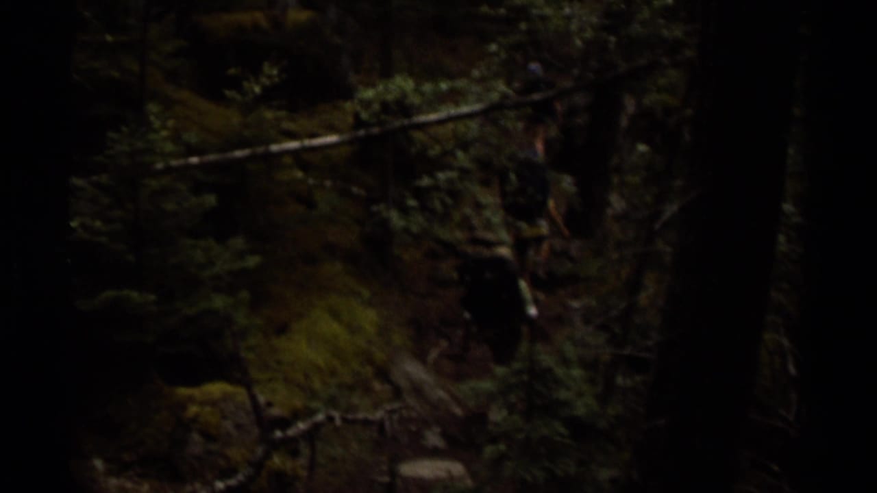 1979 British Columbia 8mm frame of hikers with backpacks partly obscured by trees on a shaded forest path.