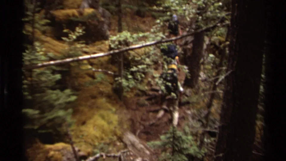 A hiker with a pack moves through a moss-covered British Columbia forest, framed by trunks and low branches.
