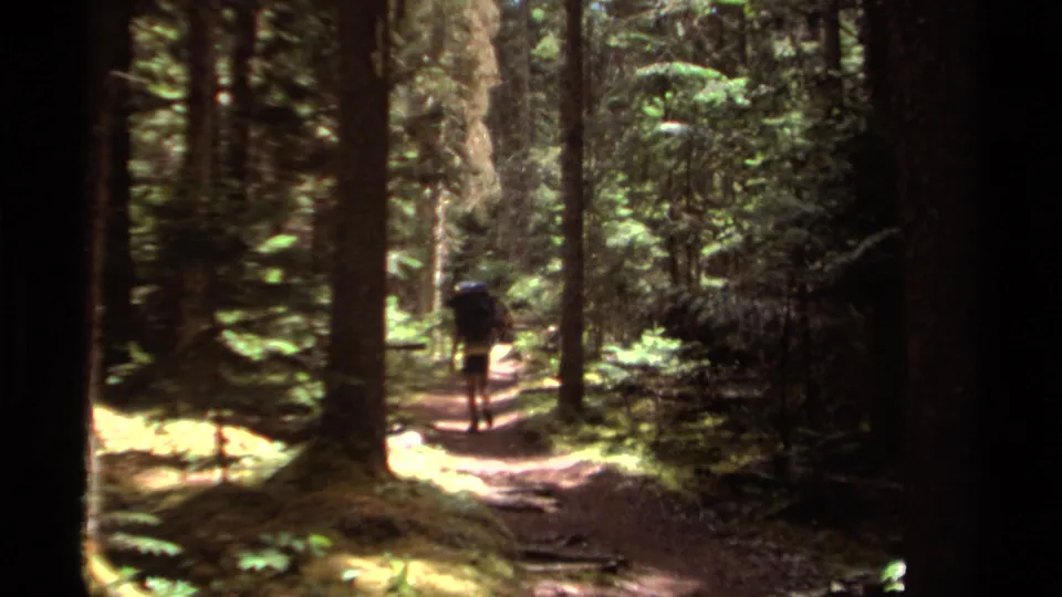 A backpacked hiker walks away through tall evergreens on a narrow British Columbia forest path in 1979 home-movie footage.