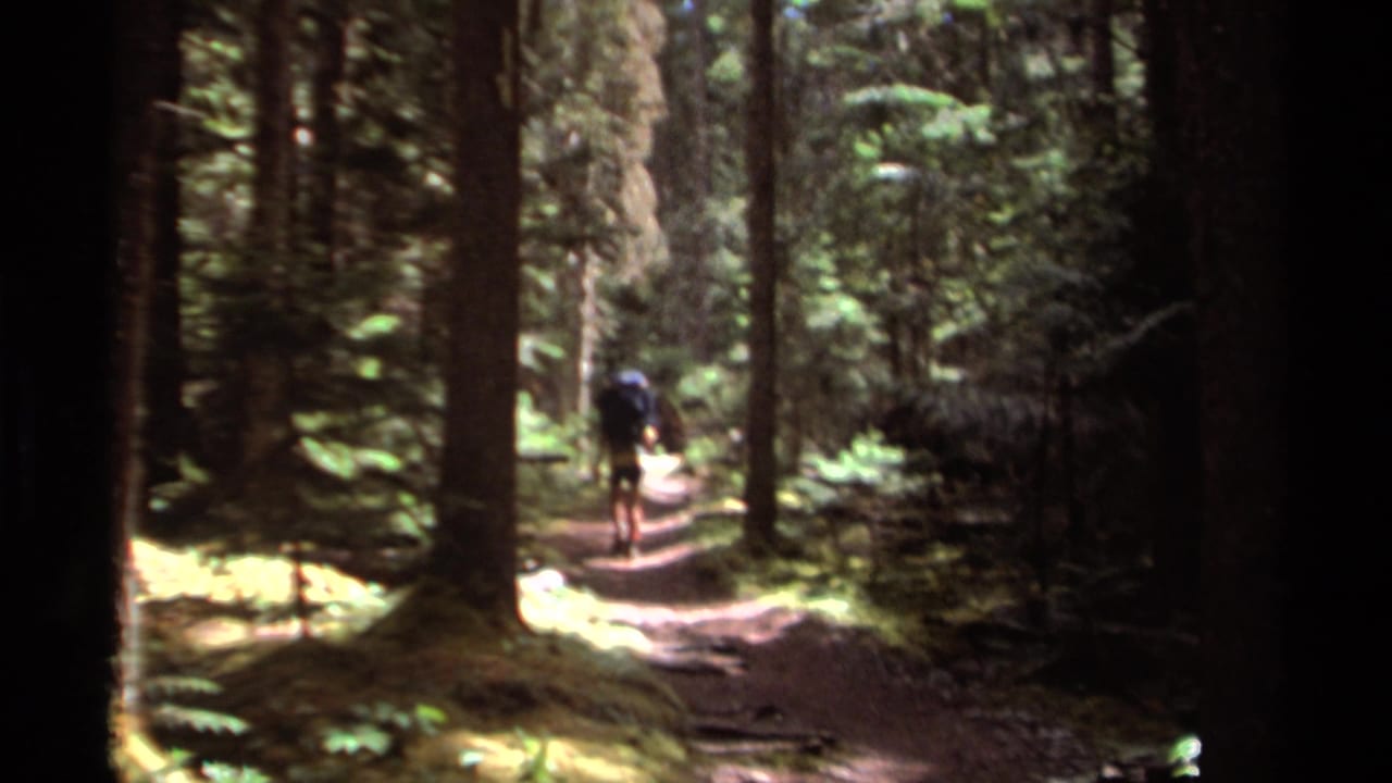 In British Columbia home-movie footage from 1979, a distant hiker with a dark backpack walks along a narrow forest trail between tall evergreens.