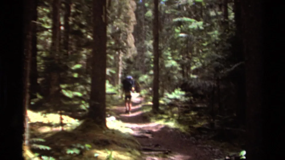 In British Columbia home-movie footage from 1979, a distant hiker with a dark backpack walks along a narrow forest trail between tall evergreens.
