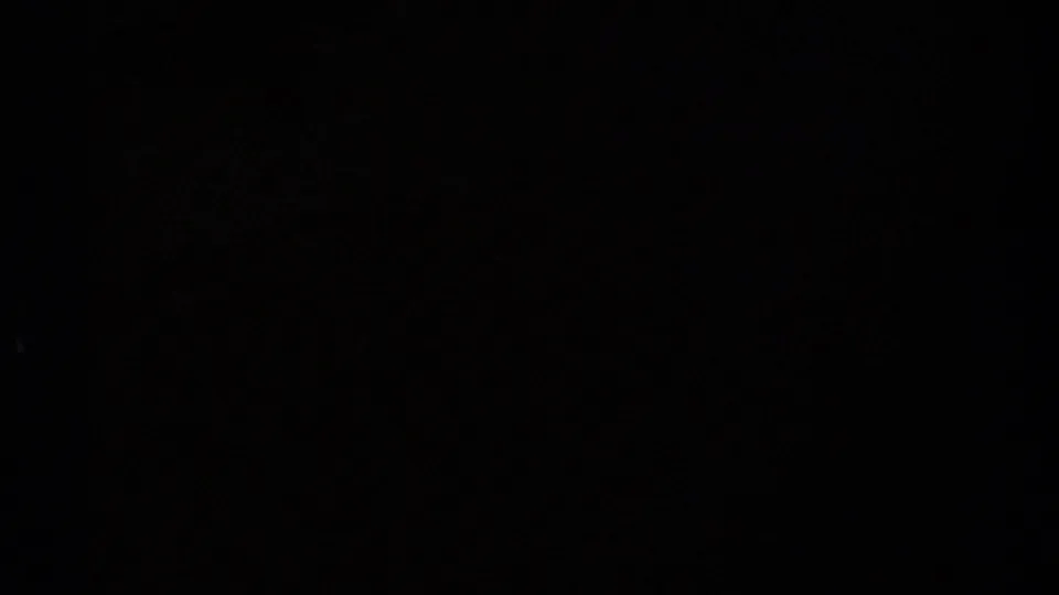 Very underexposed 8mm frame from the 1979 British Columbia clip, with only faint dark shapes and film density visible.