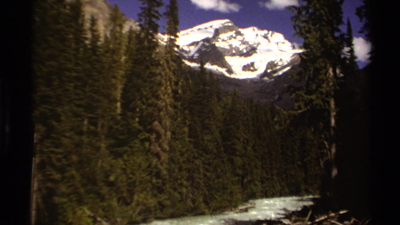 Snow-covered mountain above evergreen forest with a pale river in the foreground.