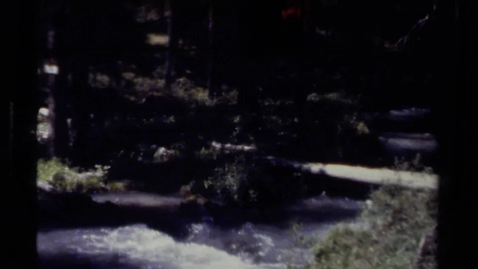 Handheld 1979 British Columbia forest view showing a rushing mountain river under dark trees and patches of sunlight.