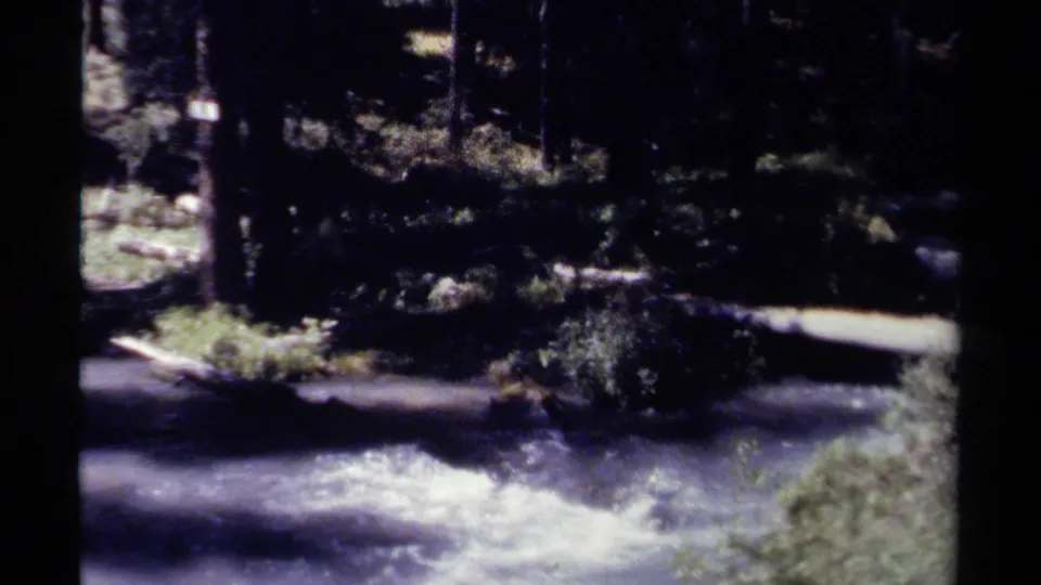 1979 British Columbia 8mm frame of bright river water flowing past shaded trees and low riverside vegetation.