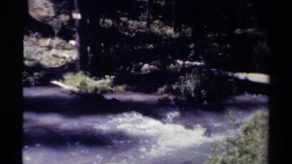 Late-1970s British Columbia home-movie frame showing a mountain river moving through dense, shadowed evergreen forest.