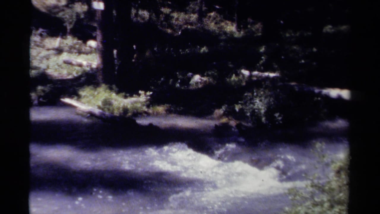 Rushing stream in a shaded forest with rocks and fallen logs.