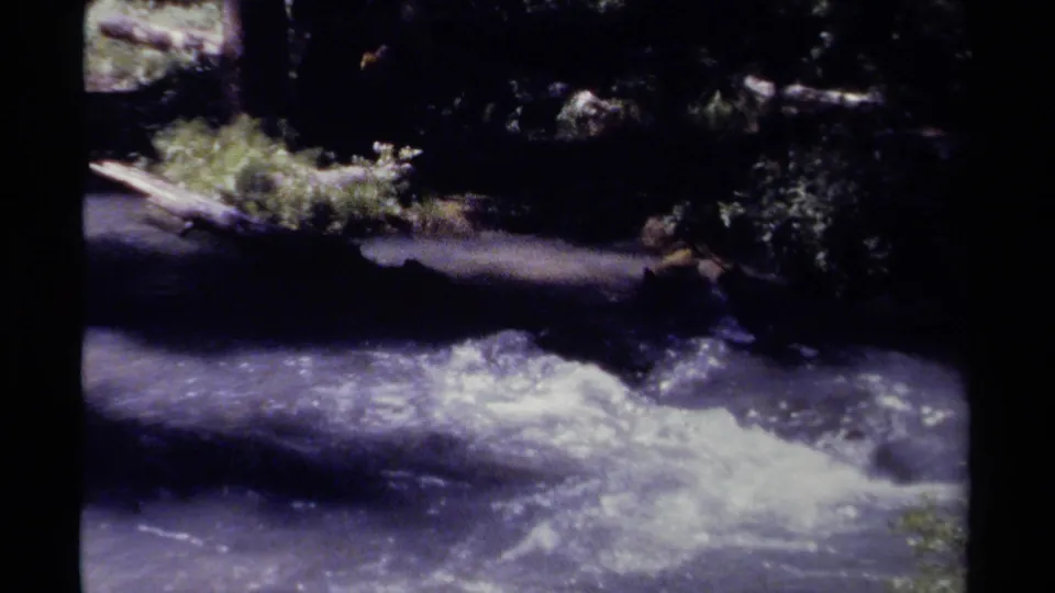 Grainy 8mm frame of a fast forest stream with white water, dark trees, and logs along the bank in British Columbia.
