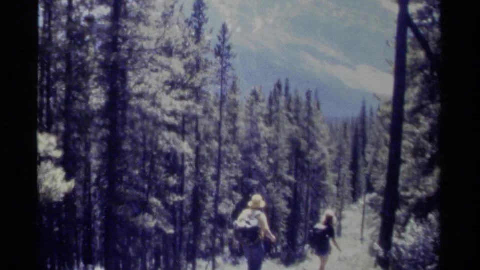 Two distant hikers with packs walk away through tall trees on a British Columbia forest trail in 1979 home-movie footage.