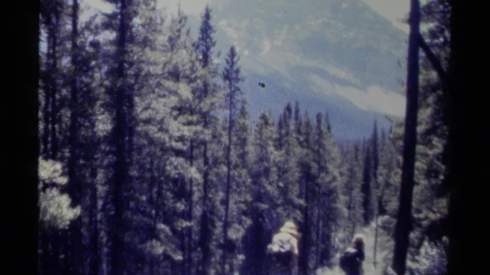 1979 British Columbia 8mm frame showing tall evergreens, shaded trunks, distant snowy mountains, and a small hiker on a forest trail.