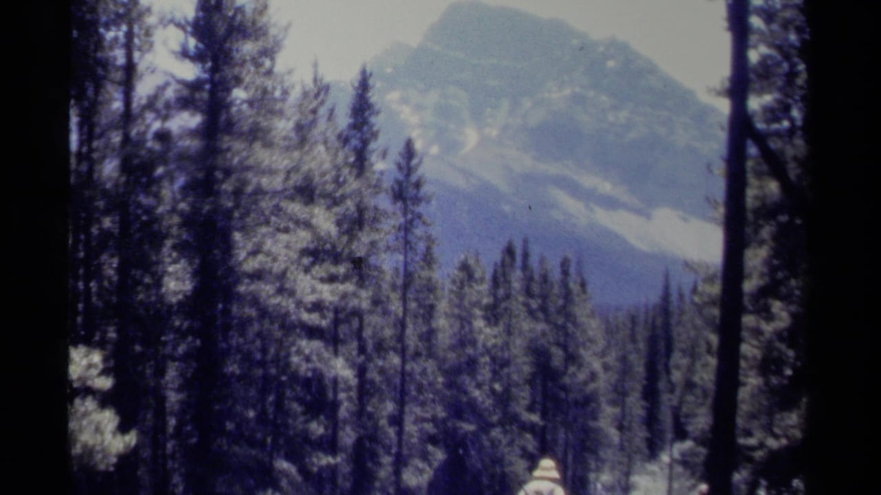 Tall forest silhouettes frame distant mountains, with hikers barely visible near the lower edge.