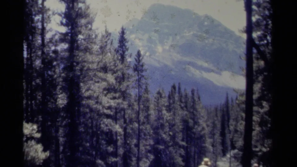 1979 British Columbia 8mm frame showing a hiker in a light hat below tall evergreen trees and a soft, bright mountain backdrop.