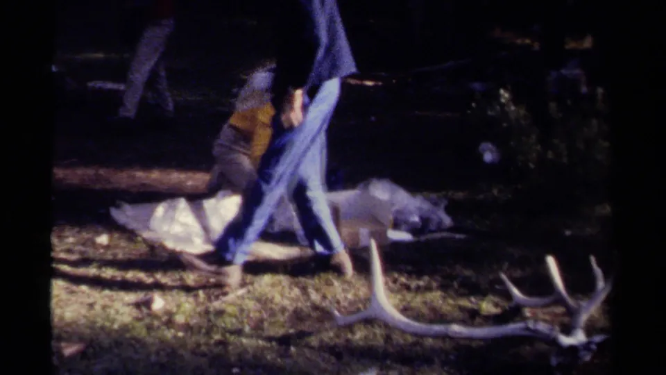 Wooded 1979 British Columbia campsite scene with a person walking beside a deer carcass and antlers on the ground.