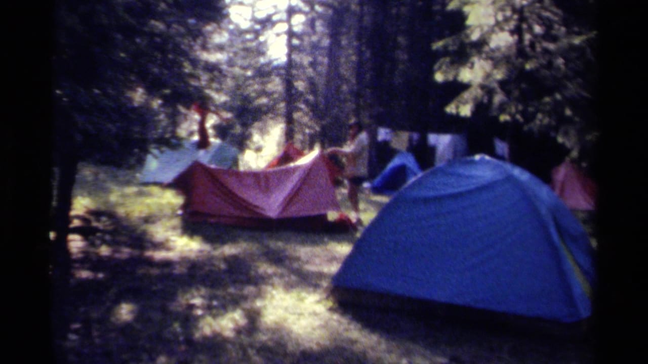 Campers stand near pitched tents in a shaded forest clearing.