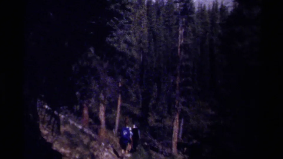1979 British Columbia 8mm frame showing distant hikers on a shadowed forest path among tall conifers.